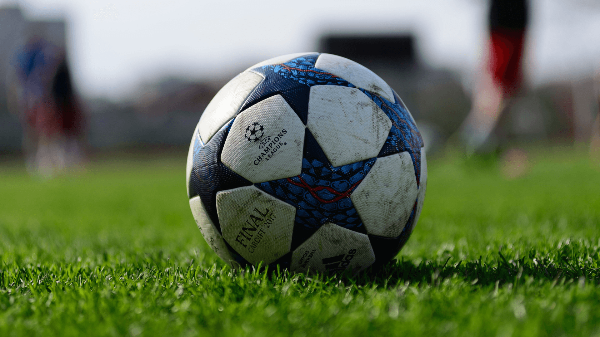 Protonest wearable IoT and sports technology development